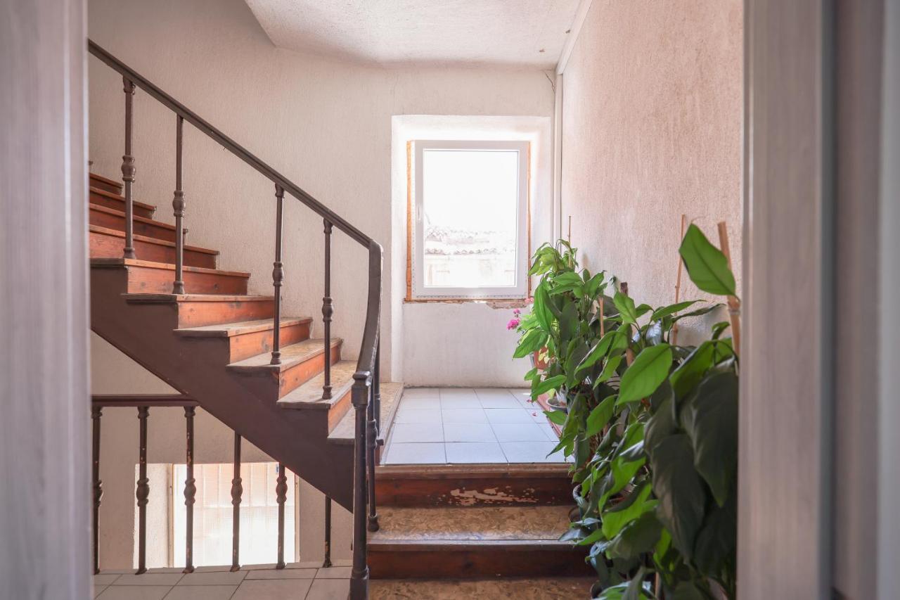 Cozy Studio Cvita Ζαντάρ Εξωτερικό φωτογραφία